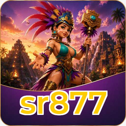 Troubleshooting sr877
